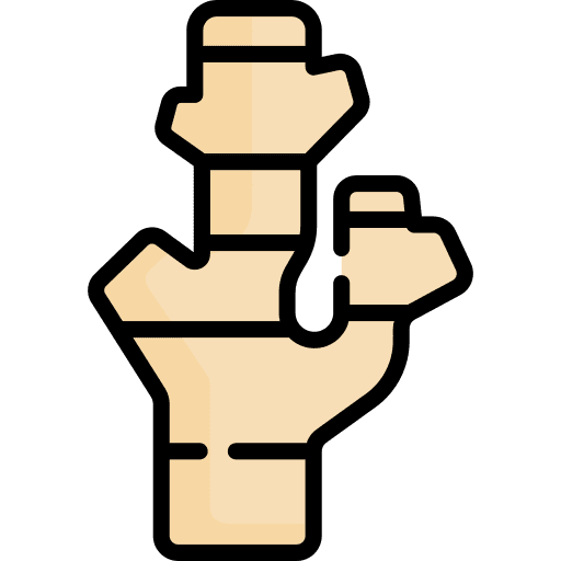 Ginger vegetable ginger food and restaurant icon