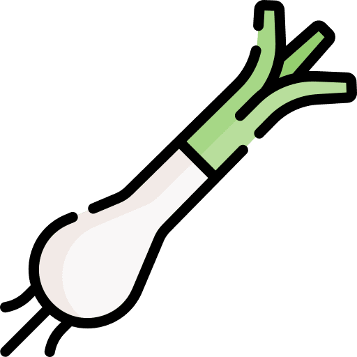 Leek vegetable food leek icon