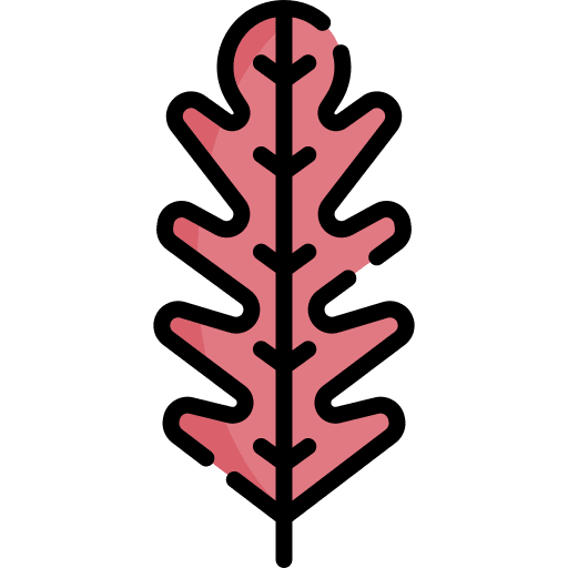 Lettuce vegan healthy food icon