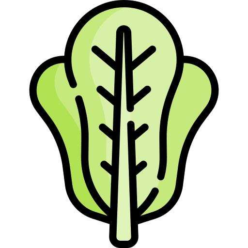 Lettuce vegetarian vegan food and restaurant icon