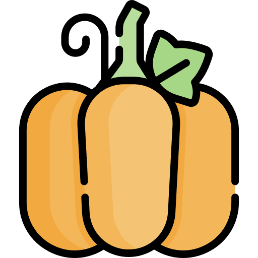 Pumpkin pumpkin vegan food and restaurant icon