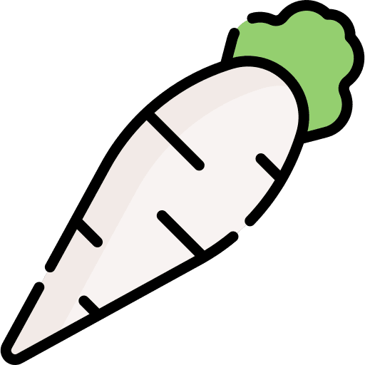 Radish food and restaurant season radish icon