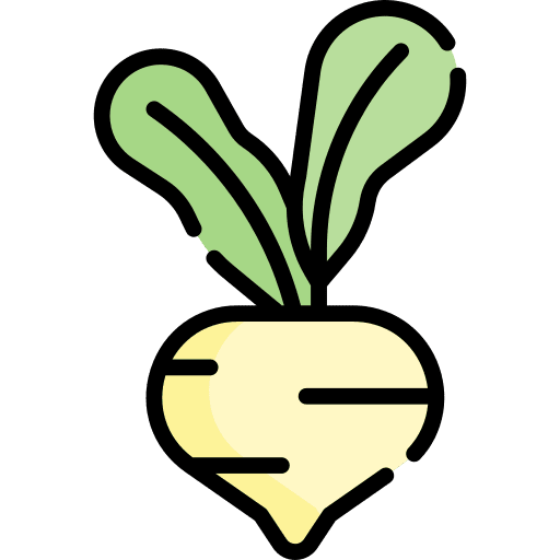 Turnip food and restaurant vegan nature icon