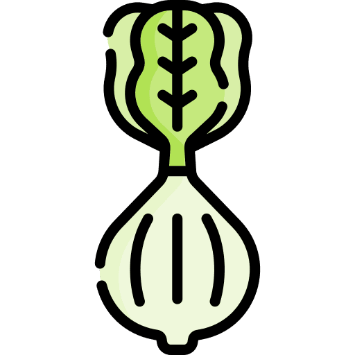 Lettuce nutrition food and restaurant diet icon