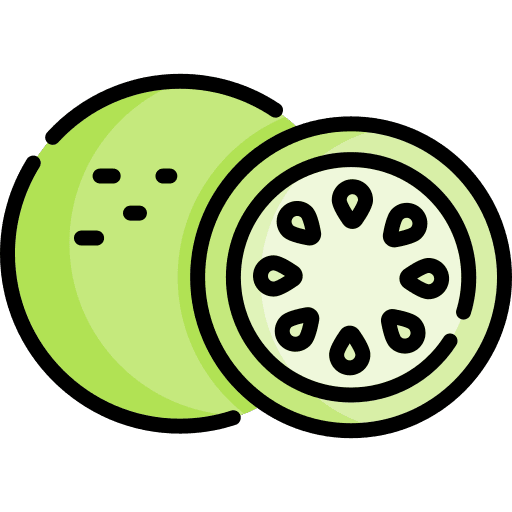 Lime vegan organic food icon