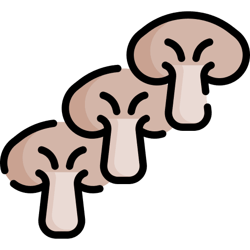 Mushroom diet vegan healthy food icon