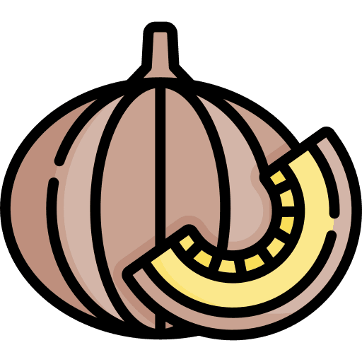 Pumpkin vegetable vegetarian healthy food icon