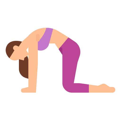 Cat wellness yoga excercise icon Cat wellness yoga excercise icon