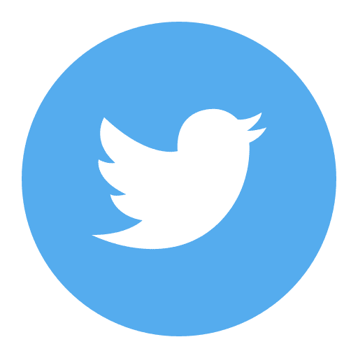 Twitter app sns social network icon