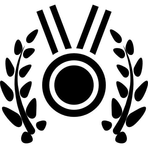 Medal winners award medals icon