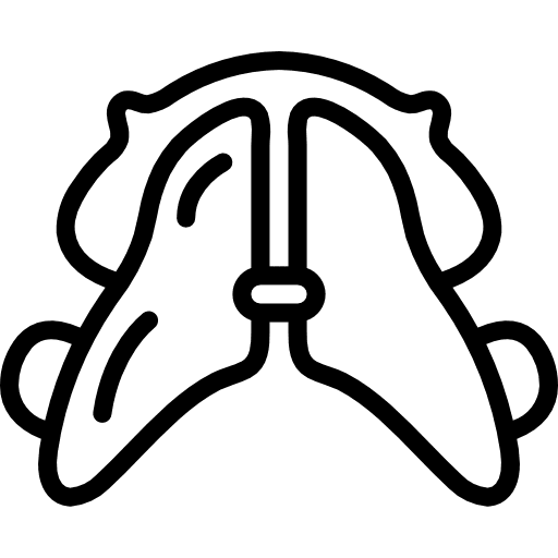 Braces braces healthcare caries icon