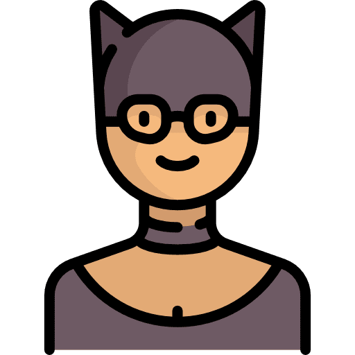Catwoman woman people superhero icon