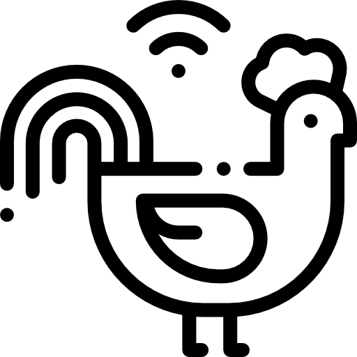 Poultry feather chicken domestic icon Poultry feather chicken domestic icon