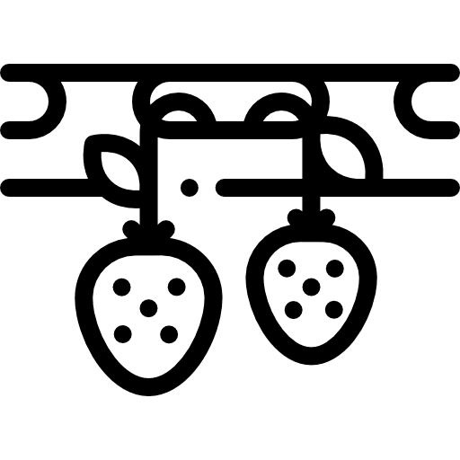 Hydroponic industry fruits food icon Hydroponic industry fruits food icon