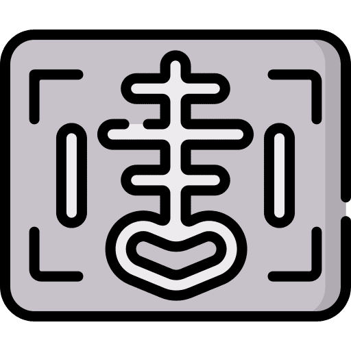 X ray ribs bone skeleton icon X ray ribs bone skeleton icon