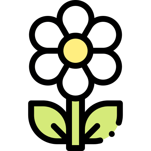 Flower daisy flower nature icon