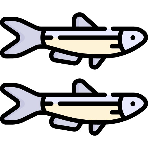 Anchovy animal kingdom wildlife animals icon