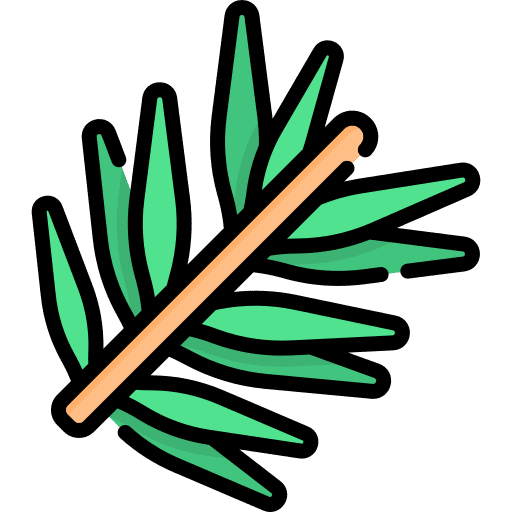 Rosemary scent rosemary aroma icon