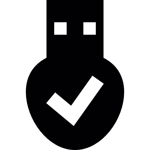 Usb flash disk check mark technology icon