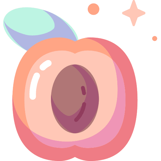 Apricot organic apricot diet icon