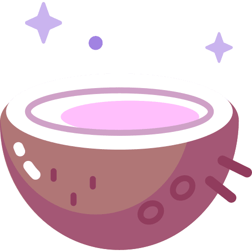 Coconut food diet coconut icon