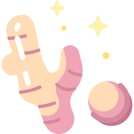 Ginger vegetarian food and restaurant vegan icon