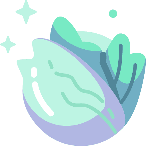 Cabbage food and restaurant vegan fruit icon