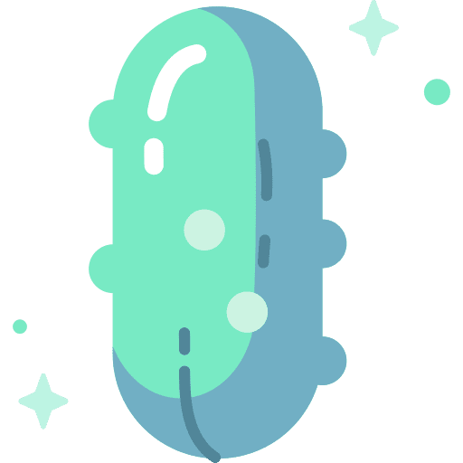 Cucumber food and restaurant diet cucumber icon