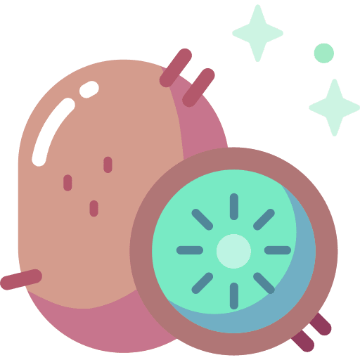 Kiwi vegan diet vegetarian icon