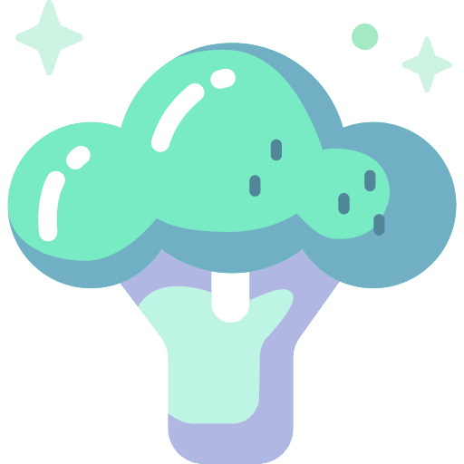 Broccoli vegetarian vegetable broccoli icon