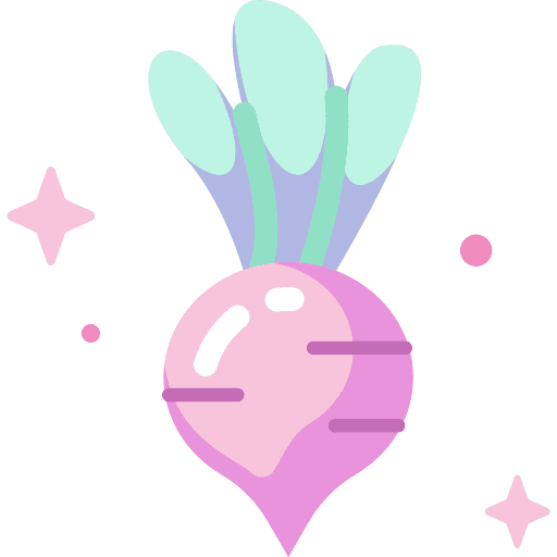 Radish radish healthy food beet icon