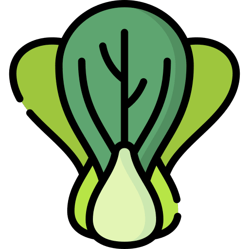 Bok choy vegetarian food diet icon