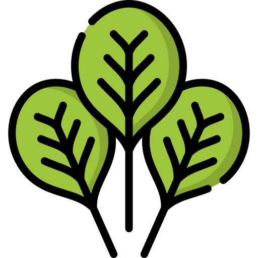 Spinach diet vegan healthy food icon Spinach diet vegan healthy food icon