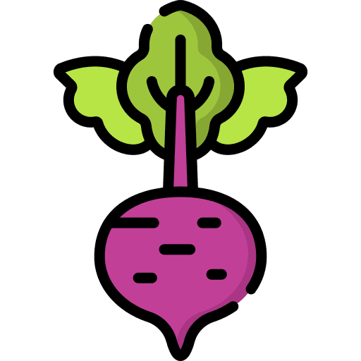 Beetroot vegetarian organic food and restaurant icon Beetroot vegetarian organic food and restaurant icon