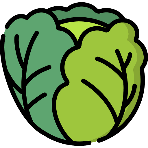 Cabbage food cabbage organic icon Cabbage food cabbage organic icon