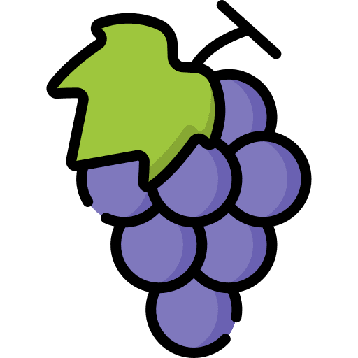 Grape vegan berry vegetarian icon Grape vegan berry vegetarian icon