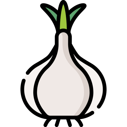 Onion nutrition food onion icon Onion nutrition food onion icon