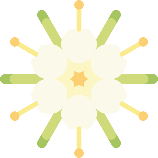 Spider spider flower jungle icon