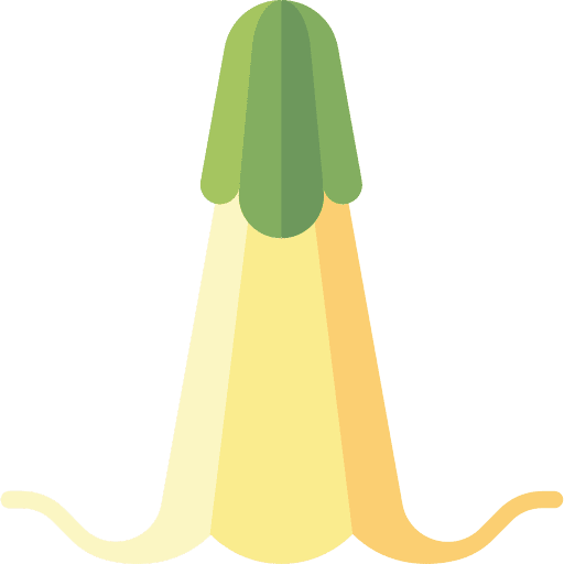 Angel blossom petals angel icon Angel blossom petals angel icon