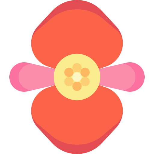 Begonia begonia blossom botanical icon Begonia begonia blossom botanical icon