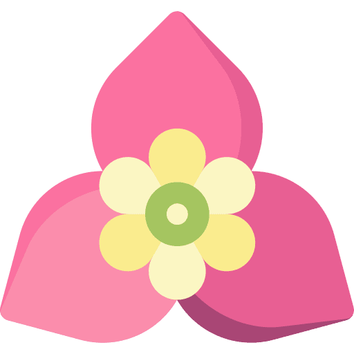 Bougainvillea botanical blossom petals icon Bougainvillea botanical blossom petals icon