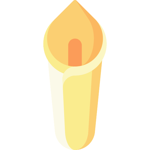 Calla blossom jungle botanical icon Calla blossom jungle botanical icon