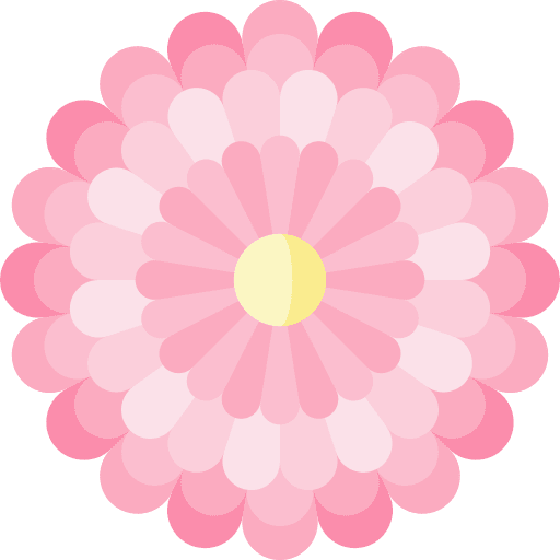 Chysanthemum nature blossom petals icon Chysanthemum nature blossom petals icon