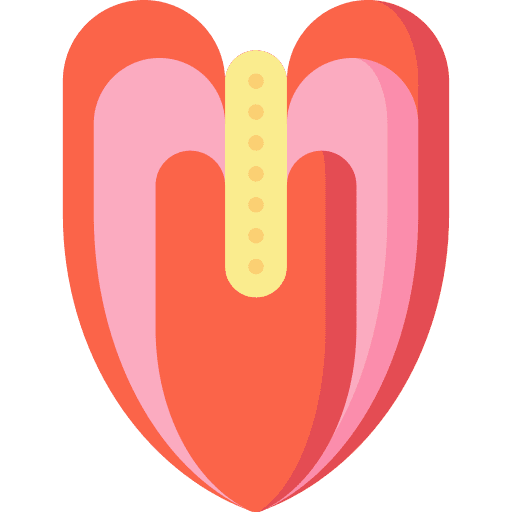 Anthurium nature jungle anthurium icon Anthurium nature jungle anthurium icon