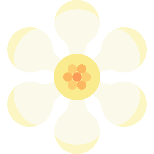 Ficus botanical petals ficus icon Ficus botanical petals ficus icon