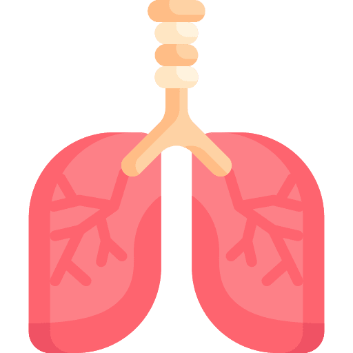 Lung breath human body organ icon