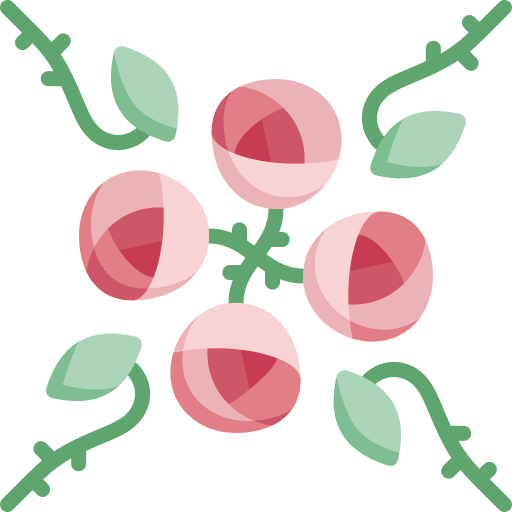 Rose floral design flower design rose icon