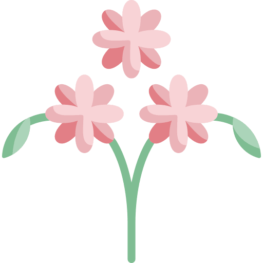 Daisy daisy floral design art and design icon Daisy daisy floral design art and design icon