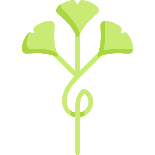 Gingko art and design nature gingko icon Gingko art and design nature gingko icon