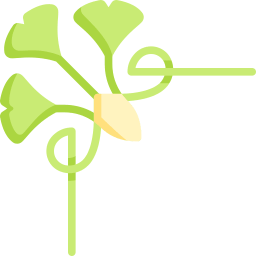 Gingko flower design art and design corner icon Gingko flower design art and design corner icon